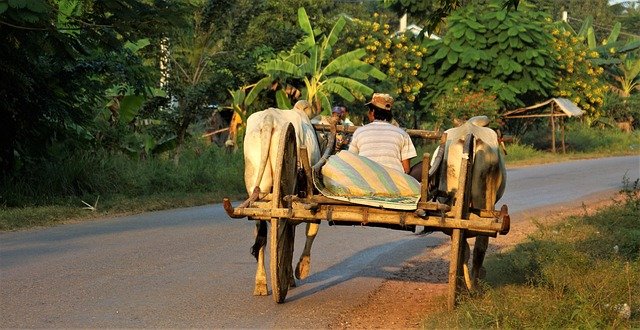 Lifestyle of the People in Battambang, Cambodia